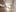 2364,1 BPD NW Cobercokwartier De Expeditie Arnhem Interieur D3 228 72Dpi